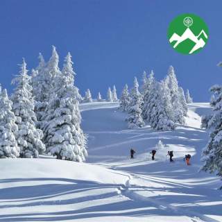 Eine Gruppe Skibergsteiger läuft durch eine schneebedeckte Landschaft