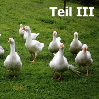 Mehrere weiße Gänse laufen auf einer grünen Wiese. Im oberen rechten Bereich steht der Text „Teil III“.